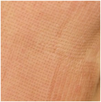 image22