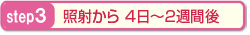 step3
